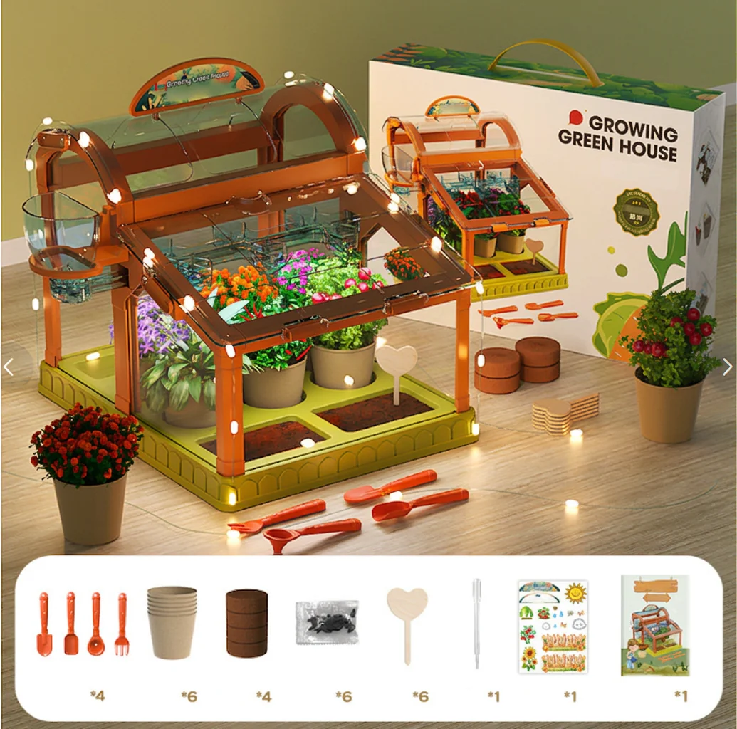 Acrylic Kids Greenhouse – Indoor Plant Growing Kit for Learning & Fun - Image 5